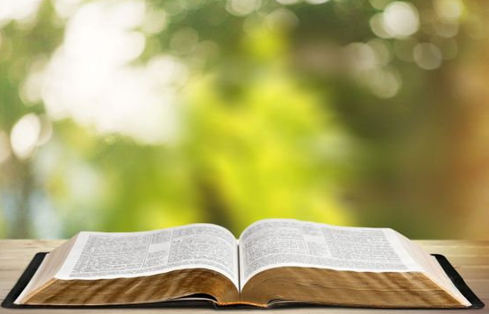 Bible